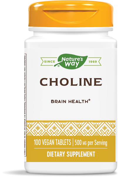 koop choline 500 mg 100 tablets