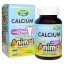 Calcium, Sugar Free, Natural Vanilla Sundae Flavor (90 Animals) - Nature's Plus