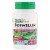 Herbal Actives - Boswellin 300 mg (60 Vegetarian Capsules) - Nature's Plus