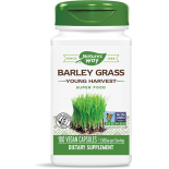 Gerst gras jonge oogst 500 mg (100 Capsules) - Nature's Way