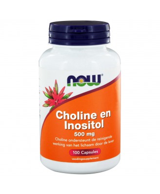 Choline en Inositol 500 mg (100 caps) - NOW Foods