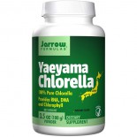 Yaeyama Chlorella Powder (100 gram) - Jarrow Formulas